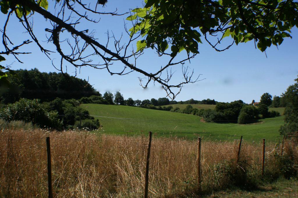 Domaine de Romefort Saint-Léonard-de-Noblat Extérieur photo