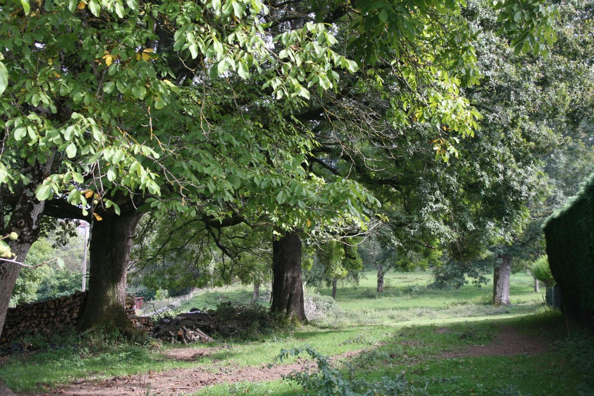 Domaine de Romefort Saint-Léonard-de-Noblat Extérieur photo